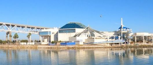 Texas State Aquarium photo