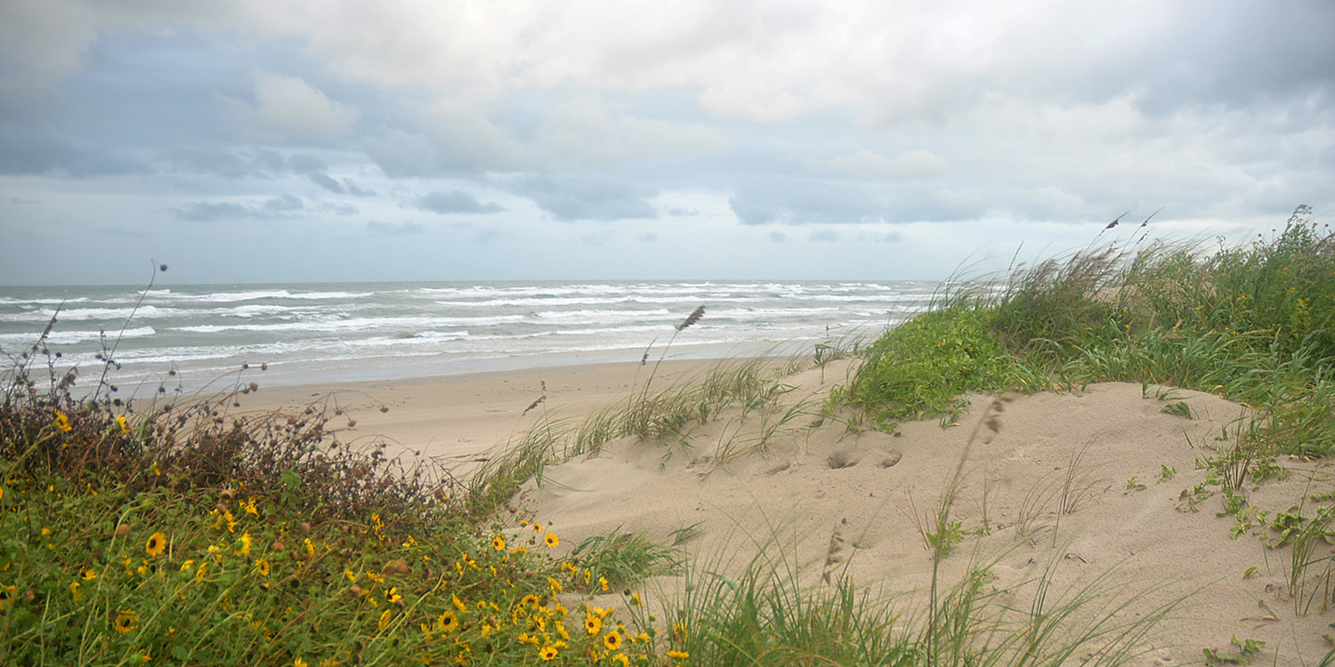 Padre Island National seashore  with sand dunes