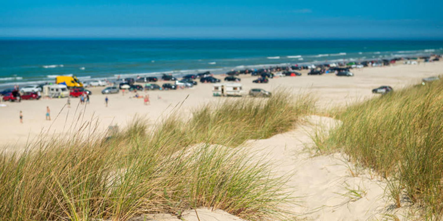 Padre Island Beach with sand dunes